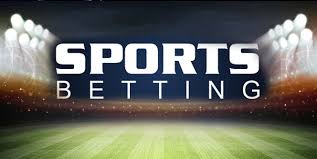 Understanding the Dynamics of Force Bet in Online Betting Understanding the Dynamics of Force Bet in Online Betting